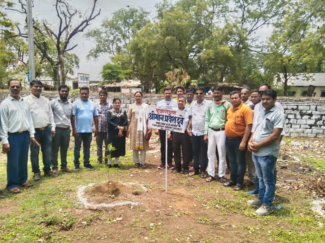 नगर पंचायत उपाध्यक्ष के जन्मदिवस पर स्कूल में किया गया वृक्षारोपण