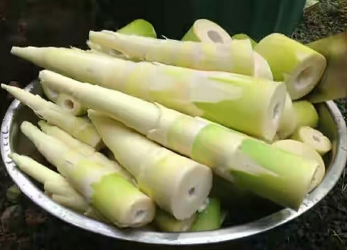 करील खाने से बिगड़ी तबियत, एक ही परिवार के 7 सदस्य अस्पताल में भर्ती