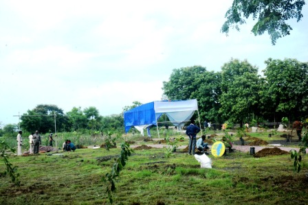 जीवनोपयोगी वृक्ष बरगद, पीपल, नीम और आम से सजेंगे कृष्णकुं