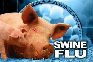 स्वाईन फ्लू के बढ़ते लक्षण को देखते हुए स्वास्य विभाग ने जारी किया अलर्ट