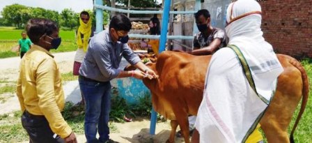 सघन, खुरहा, चपका, टीकाकरण अभियान की शुरूआत 2 अक्टूबर से