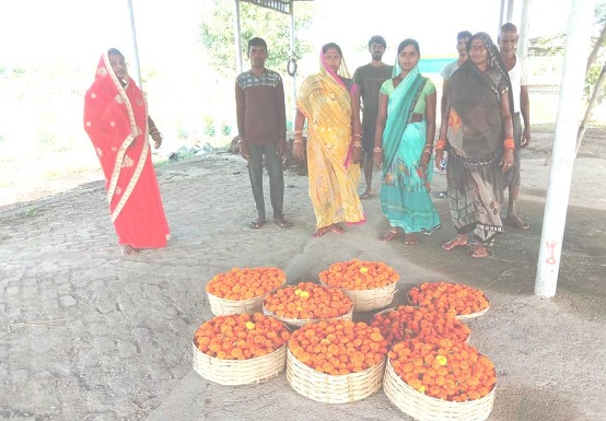 फूलों की खेती से महक रही महिलाओं की जिंदगी