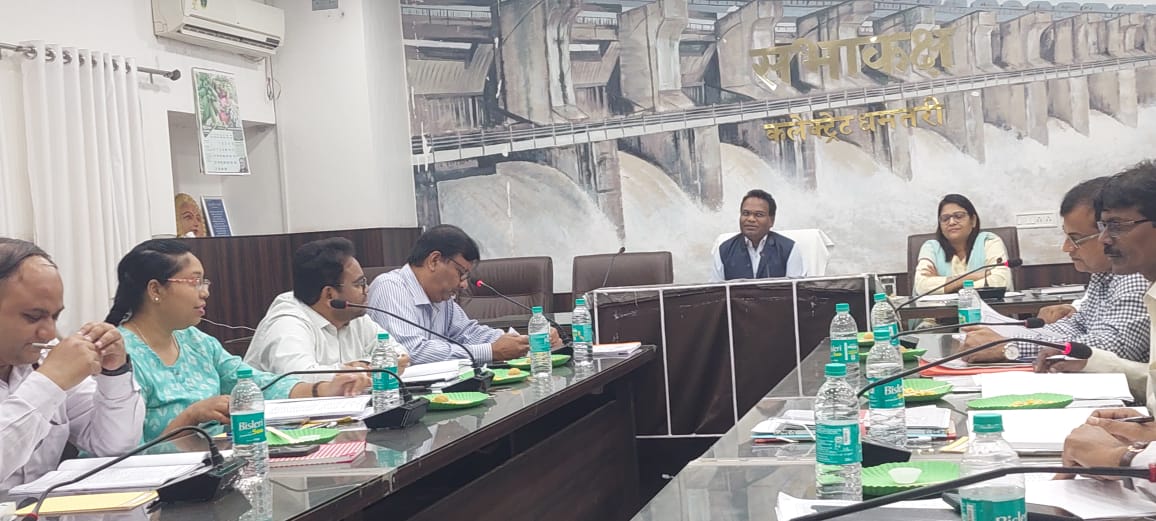 कलेक्टर एल्मा ने बैंकर्स से प्रकरणों को जल्द निष्पादित करने के लिए कहा