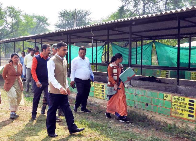 बालोद जिले के 144 गौठानों के बाड़ियों में होगा आर्गेनिक साग-सब्जियों का उत्पादन