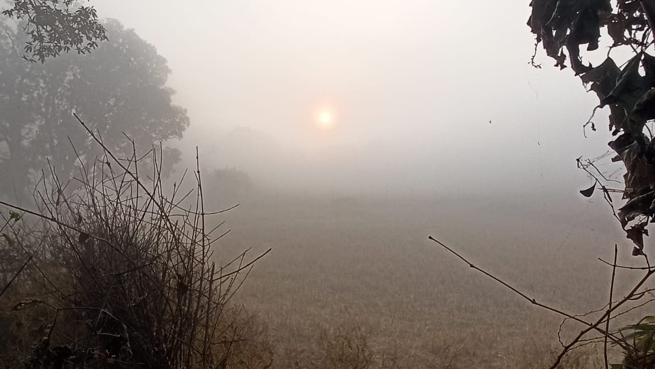 सर्द हवाओं ने बढ़ाई ठिठुरन... खिली धूप में भी गर्म कपड़ों का सहारा....