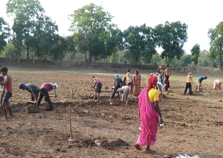 डोकाल पंचायत में 238 श्रमिकों को मिला 100 दिन का काम