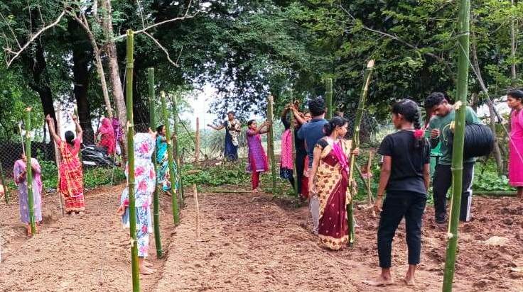 1000 दीदियों की बाड़ी में मचान विधि से लगाई जा रही सब्जी