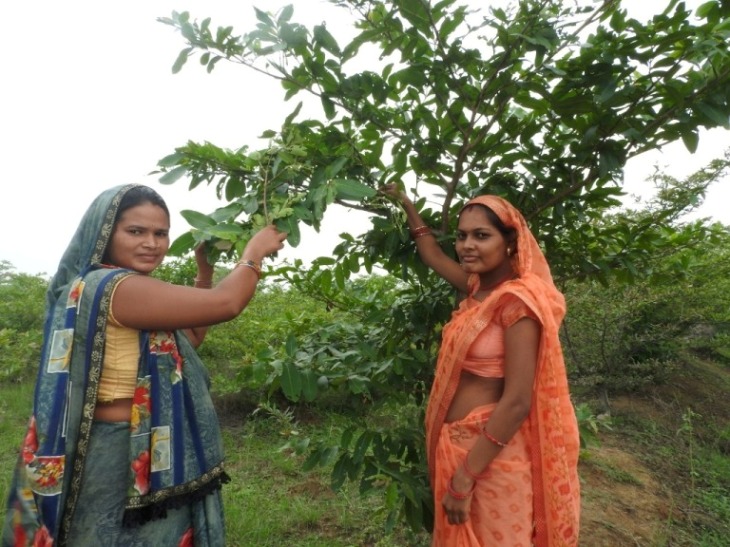 कोसाफल उत्पादन कर स्व-सहायता समूह कमा रहा 70 से 75 हजार