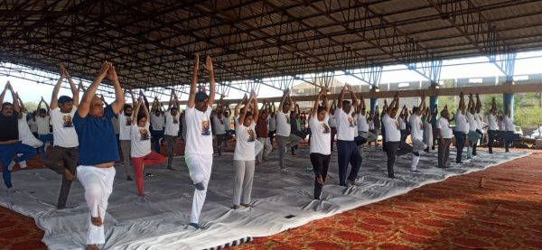 अंतर्राष्ट्रीय योग दिवस पर प्रदेशभर में हुए आयोजन