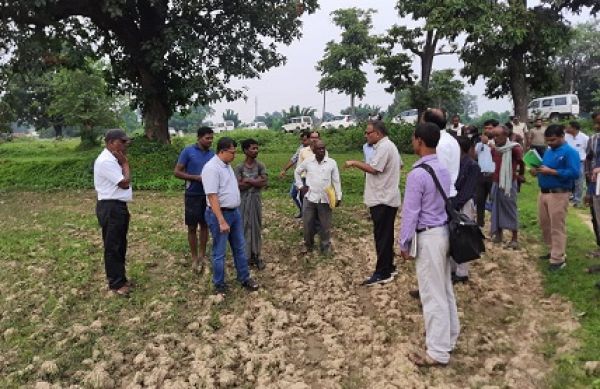 कलेक्टर ने तानाखार और कोरबी में अल्पवर्षा, अवर्षा और खंड वर्षा की स्थिति का लिया जायजा