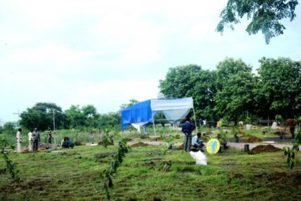 जीवनोपयोगी वृक्ष बरगद, पीपल, नीम और आम से सजेंगे कृष्णकुं