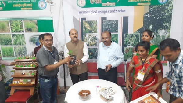 अंतर्राष्ट्रीय कृषि मड़ई में दन्तेवाड़ा के उत्पादों एवं प्रार्दशों की सराहना की गई