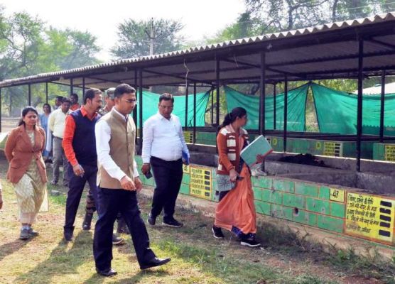 बालोद जिले के 144 गौठानों के बाड़ियों में होगा आर्गेनिक साग-सब्जियों का उत्पादन