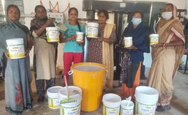 प्रदेश में गोबर से पेंट बनाने की 13 इकाईयां हुई स्थापित, 29 ईकाइयां प्रक्रियाधीन