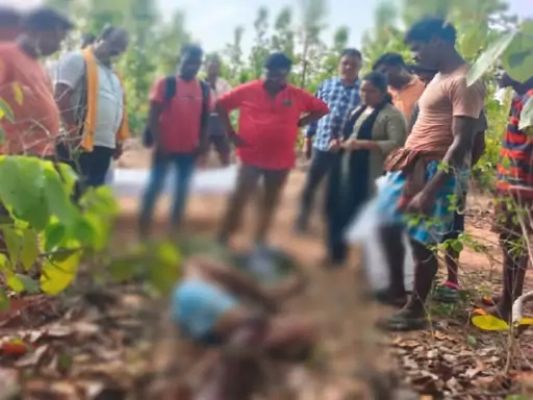  भालुओं ने बुजुर्ग दंपती पर हमला किया, महिला की मौत