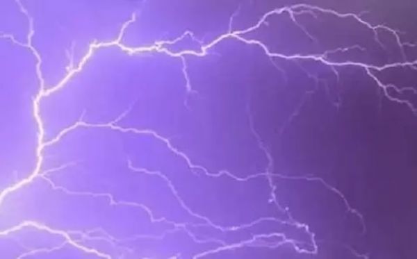 रोंजे गांव में आकाशीय बिजली गिरने से 7 मवेशियों की मौत