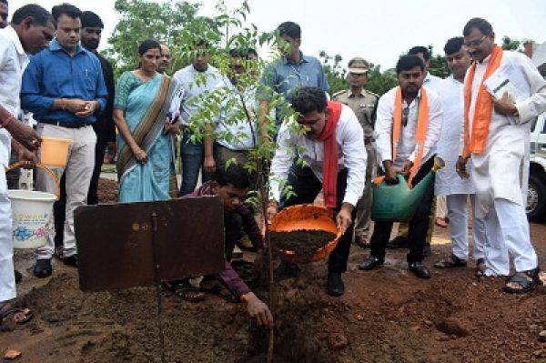 उपमुख्यमंत्री ने किया कलेक्टोरेट परिसर में पौध रोपण