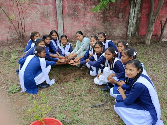 जनसहयोग से वृक्षारोपण महाभियान को मिल रही सफलता