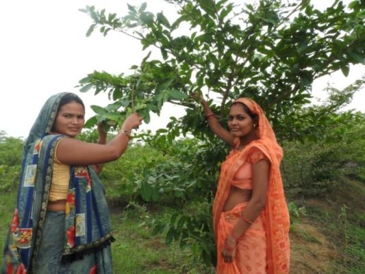 कोसाफल उत्पादन कर स्व-सहायता समूह कमा रहा 70 से 75 हजार