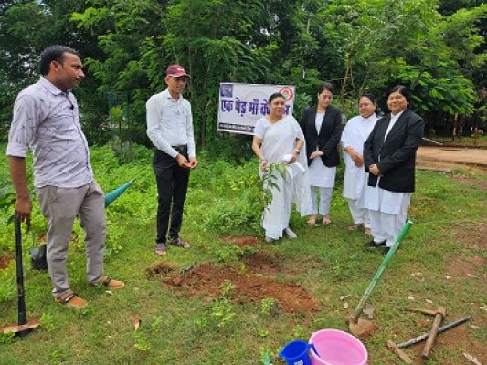 न्यायाधीशगण सहित न्यायालयीन कर्मचारियों द्वारा लगाए गए विभिन्न प्रजातियों के पौधे