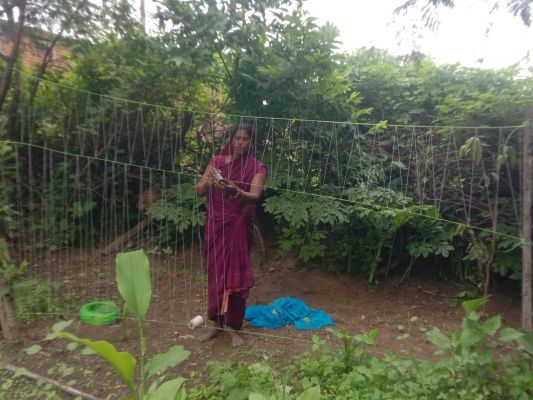 शासन की योजनाओं से सपने हुए साकार,संतोषी के परिवार में आई खुशियां अपार