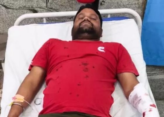 बाघिन ने किया हमला, जू कर्मचारी घायल