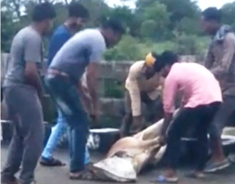 पहले तो बोरी से मुंह बंद किया, फिर पीटा और चारों पैर बांध कर नदी में फेंक दिया...