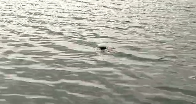 बुढ़ातालब में मिला युवक का शव, मचा हड़कंप