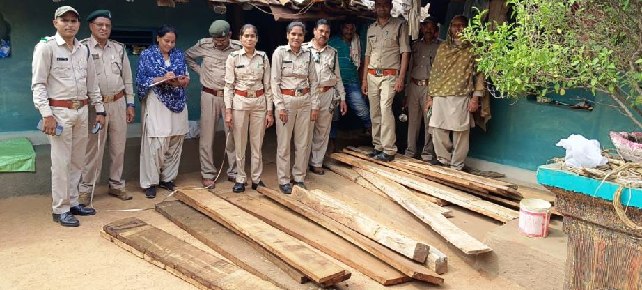 वन अमला ने नागाबुड़ा में जब्त की 41 नग इमारती लकड़ी