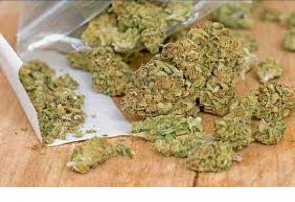 डेढ़ किलो गांजा के साथ 2 गिरफ्तार...