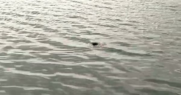 बुढ़ातालब में मिला युवक का शव, मचा हड़कंप