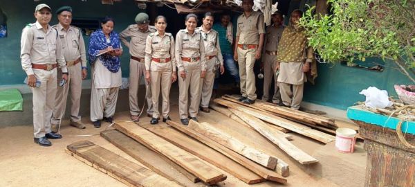वन अमला ने नागाबुड़ा में जब्त की 41 नग इमारती लकड़ी