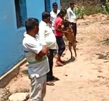  स्निफर डॉग ने 11 साल के मासूम के कातिल को पकड़ा...