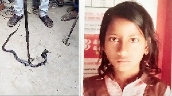 नाग के डंसने से किशोरी की मौत