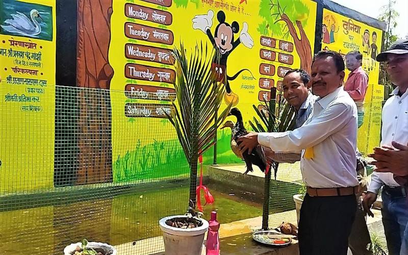 स्कूली शिक्षा में बदलाव : स्कूल में व्यावसायिक शिक्षा के लिए बत्तख पालन की शुरुआत