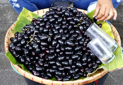 जामुन खाने के फायदे