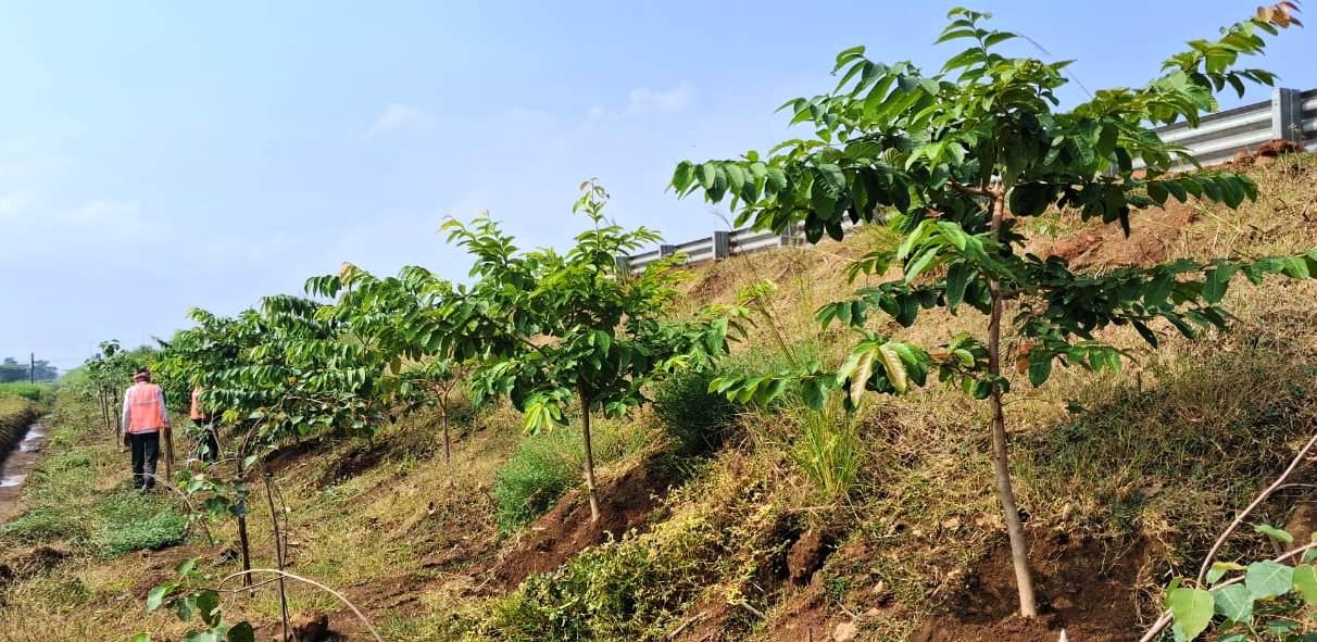 छत्तीसगढ़ में राष्ट्रीय राजमार्ग: तरक्की की राह के साथ साथ हरियाली की छांव भी &ndash; मुख्यमंत्री श्री साय