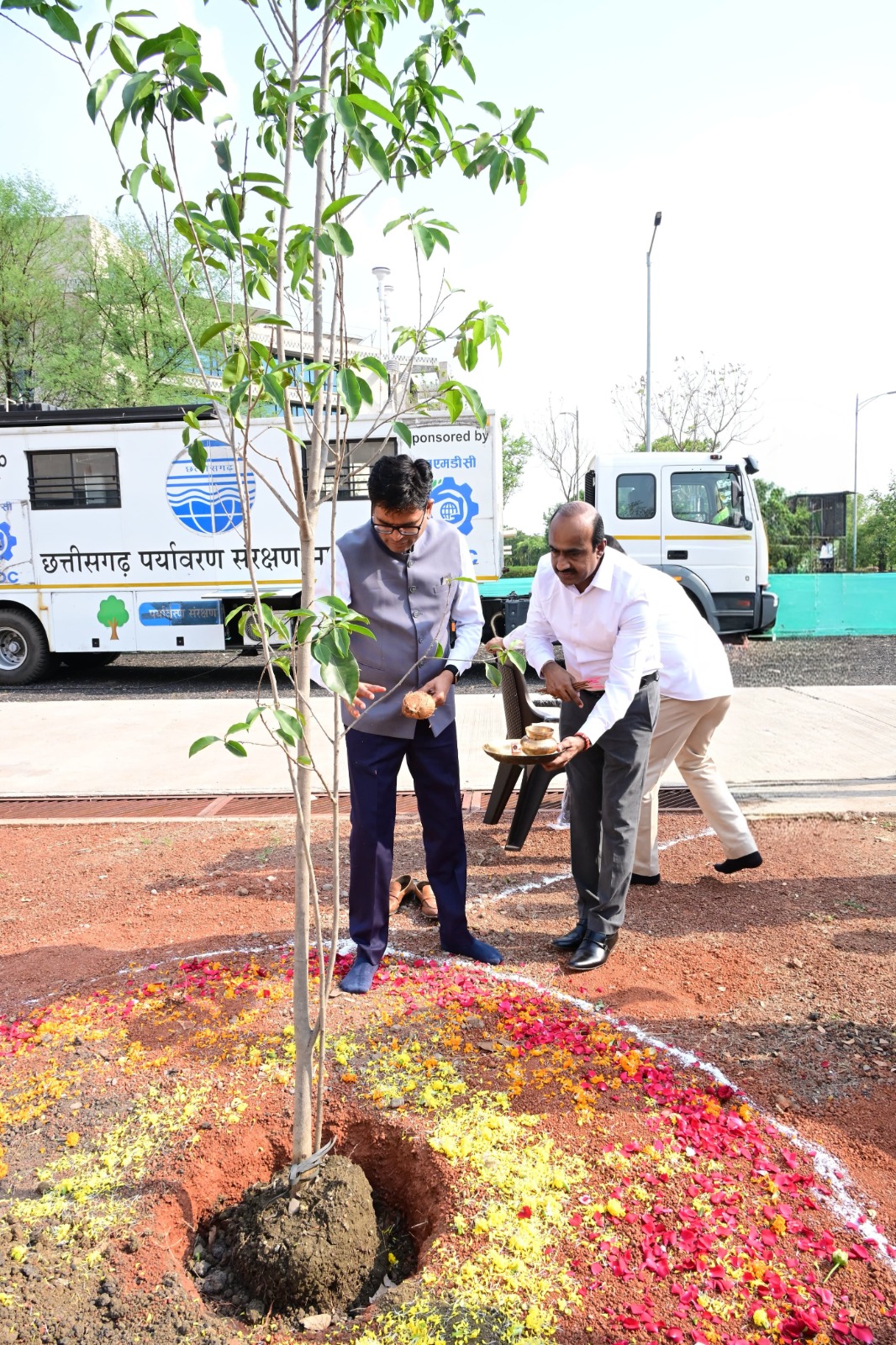 विश्व पर्यावरण दिवस पर मंत्री ओपी चौधरी ने किया मौलश्री पौधे का रोपण
