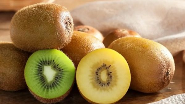 रोज़ कीवी खाने से शरीर को मिलेंगे कई फायदे...