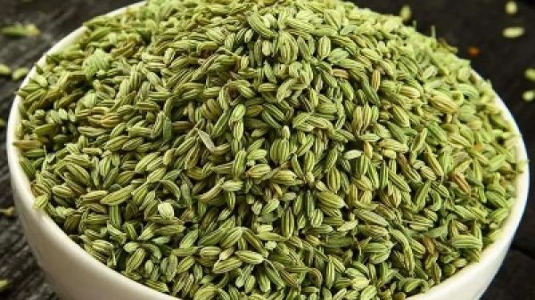 सौंफ का सेवन करने से मिलते हैं ये फायदे