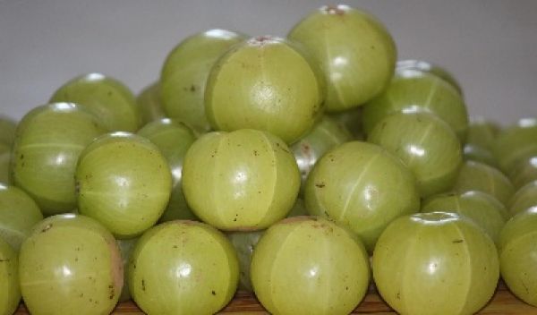 घर पर बनाएं आंवले खट्टी-मिठी डाइजेस्टिव गोली