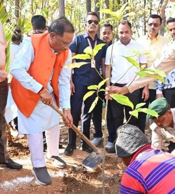 खूबसूरत प्राकृतिक परिवेश में निर्मित वाटिका में औषधीय पौधे, एडवेंचर जोन, तितली जोन में 53 लाख रूपए की लागत से बनाई गई है पर्यावरण वाटिका