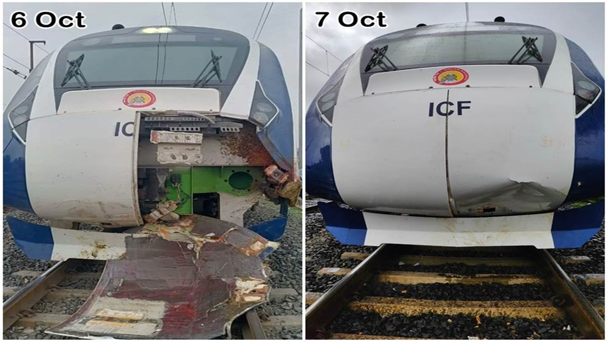 देसी बुलेट ट्रेन : भैंसों के बाद गाय टकराई, 2 दिन में दूसरी बार हादसा