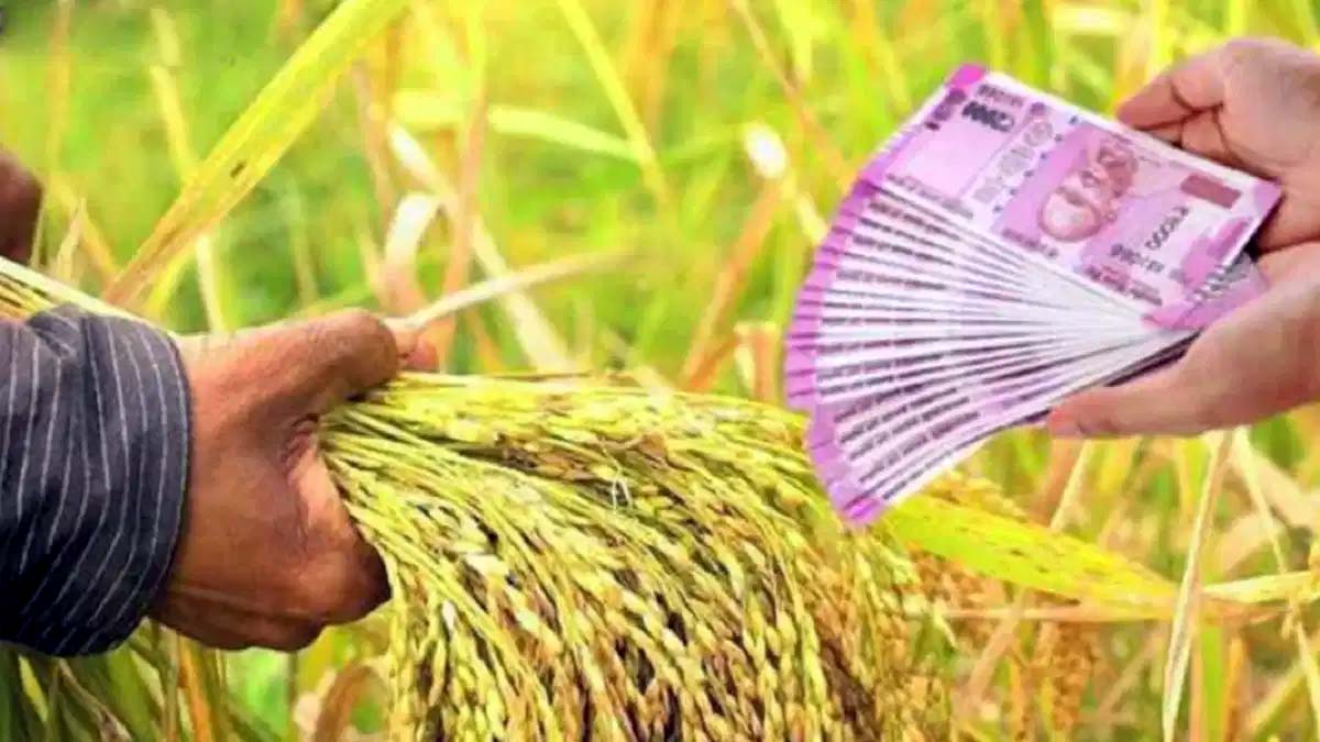  किसानों को सरकार ने दिया ये बड़ा तोहफा