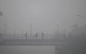 कोहरे की चपेट में राजस्थान