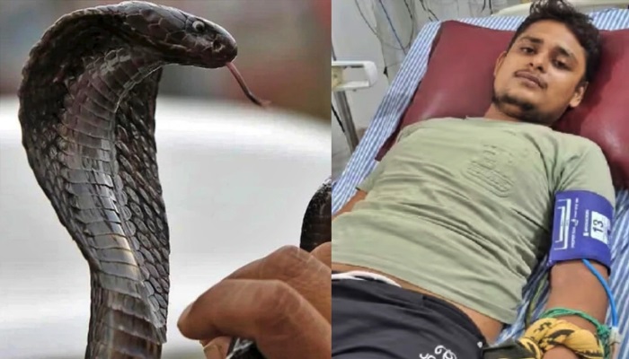सांप के 6 बार काटने के बाद भी बच गया युवक, सपने में दी धमकी...