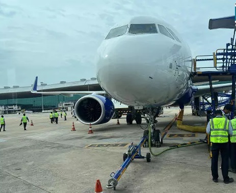 मधुमक्खियों ने रोकी चेन्नई-रायपुर फ्लाइट, बस में फंसे रहे यात्री...