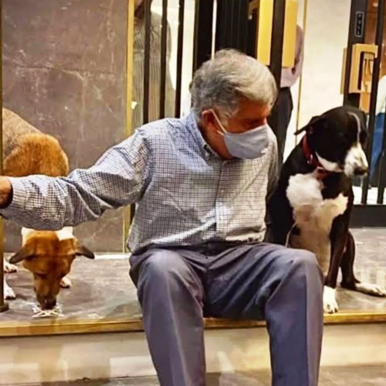 बेजुबान जानवरों के लिए मसीहा थे रतन टाटा : श्रमण डॉ पुष्पेन्द्र