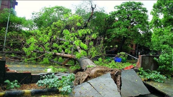 राजधानी में आंधी-बारिश से अस्त-व्यस्त हुआ जनजीवन, 100 से ज्यादा पेड़ गिरे, 2 की मौत… राजधानी में आंधी-बारिश से अस्त-व्यस्त हुआ जनजीवन, 100 से ज्यादा पेड़ गिरे, 2 की मौत…
