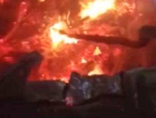 घर में आग लगने से एक व्यक्ति और मवेशी जिंदा जले